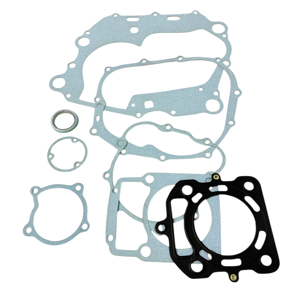 Kit completo empaques del motor db300zh para carguero