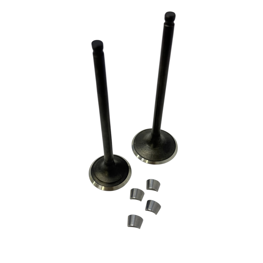 Kit válvulas admisión y escape db200zh para carguero