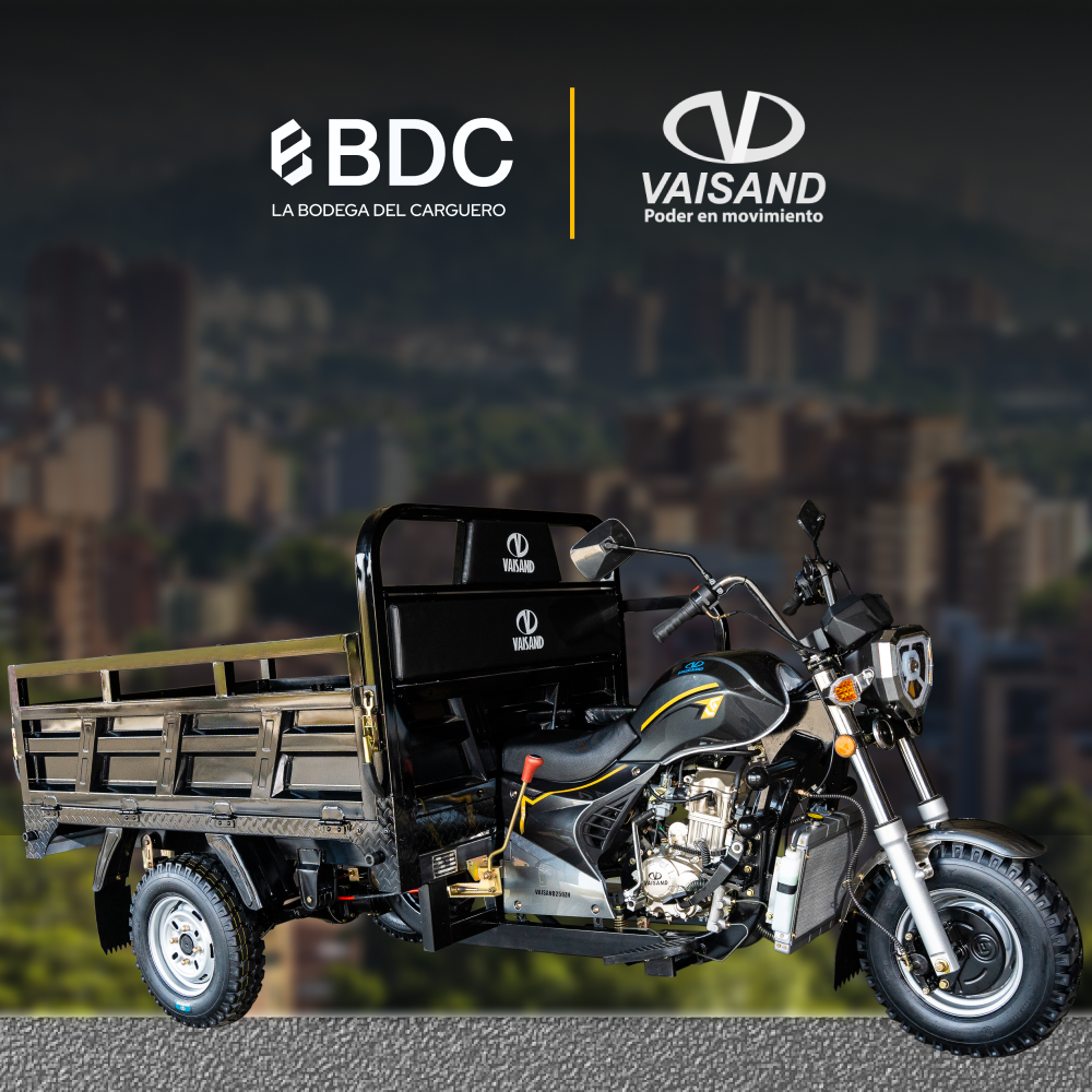 VAISAND DB250ZH