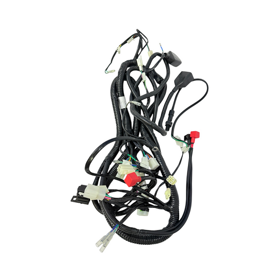 Ramal eléctrico para carguero
