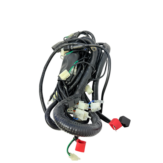 Ramal eléctrico akt para carguero