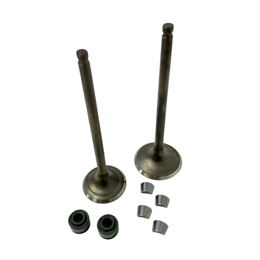 Kit válvulas admisión y escape db200zh para carguero