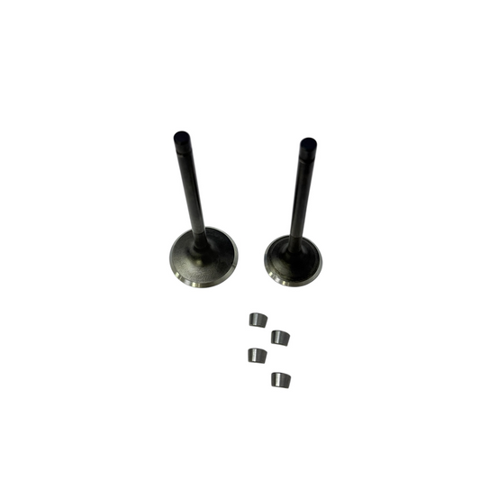 Kit válvulas admisión y escape db300zh old