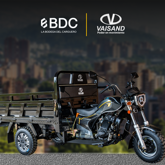 VAISAND DB200ZH