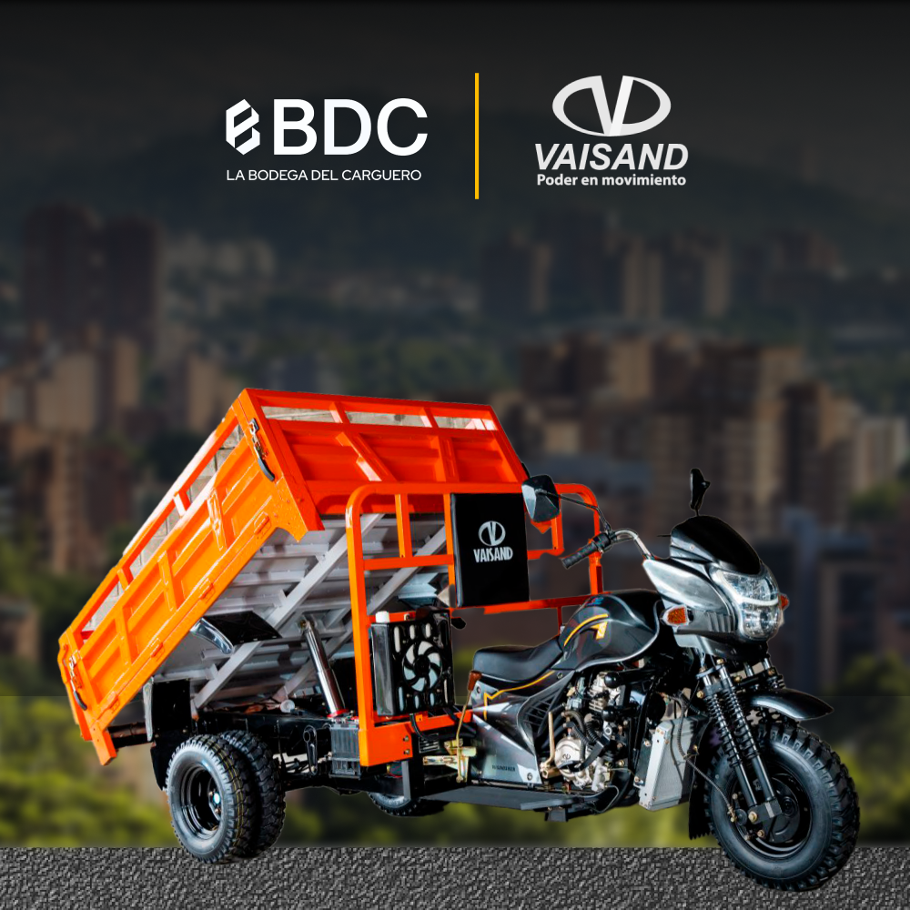 VAISAND DB300ZH